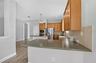 5246 Brighton Shore Dr, Apollo Beach, FL 33572 - Photo 19