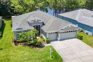 1535 Morning Rose Pl, Trinity, FL 34655 - Photo 3