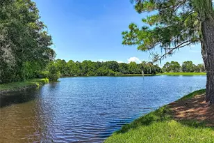 1535 Morning Rose Pl, Trinity, FL 34655 - Photo 65