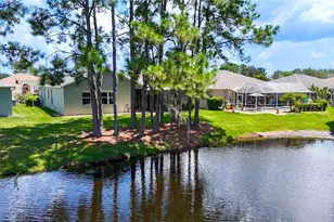 1535 Morning Rose Pl, Trinity, FL 34655 - Photo 63
