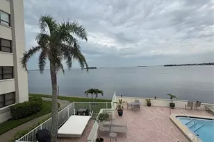 250 Woodette Dr, Dunedin, FL 34698 - Photo 21