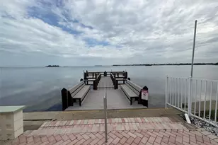 250 Woodette Dr, Dunedin, FL 34698 - Photo 43