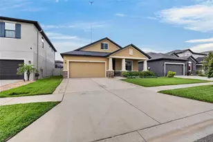 12153 Creek Preserve Dr, Riverview, FL 33579 - Photo 3