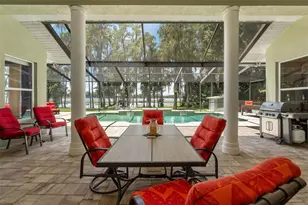 5035 Conner Dr, Land O Lakes, FL 34639 - Photo 25