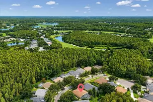 5539 Ave Du Soleil, Lutz, FL 33558 - Photo 49