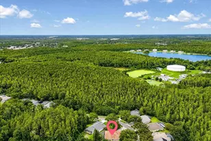 5539 Ave Du Soleil, Lutz, FL 33558 - Photo 51