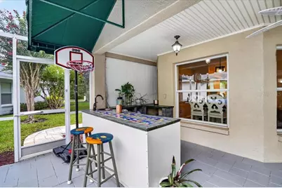 5539 Avenue Du Soleil, Lutz, FL 33558 - Photo 39