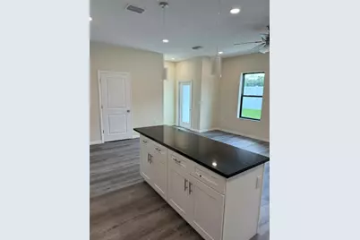 4346 Cambio Gardens Court, Tampa, FL 33610 - Photo 5