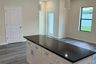 4346 Cambio Gdns Ct, Tampa, FL 33610 - Photo 5
