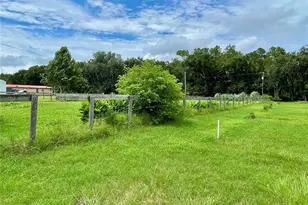 3627 Tom Matthews Rd, Lakeland, FL 33810 - Photo 37