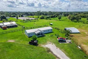 3627 Tom Matthews Rd, Lakeland, FL 33810 - Photo 71