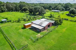 3627 Tom Matthews Rd, Lakeland, FL 33810 - Photo 75