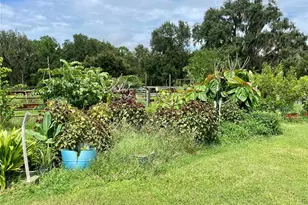 3627 Tom Matthews Rd, Lakeland, FL 33810 - Photo 45