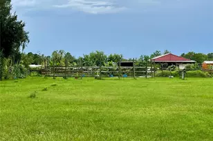 3627 Tom Matthews Rd, Lakeland, FL 33810 - Photo 33