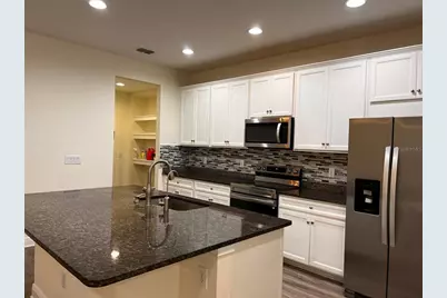 14234 Damselfly Drive, Tampa, FL 33625 - Photo 5