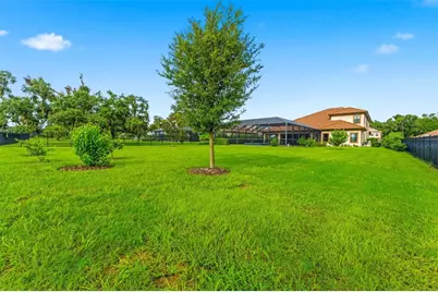 10370 Meadowrun Drive, Lithia, FL 33547 - Photo 69