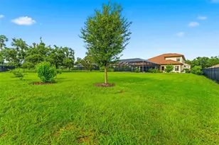 10370 Meadowrun Dr, Lithia, FL 33547 - Photo 69