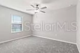 23330 Papyrus Way, Lutz, FL 33559 - Photo 21