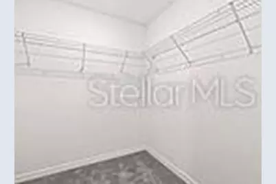 23330 Papyrus Way, Lutz, FL 33559 - Photo 19