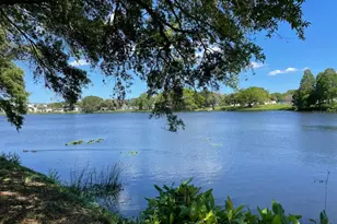 1601 11th St N, Saint Petersburg, FL 33704 - Photo 39