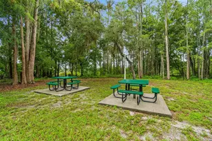 13715 Tramore Dr, Odessa, FL 33556 - Photo 83