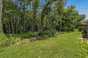 11602 White Ash Dr, New Port Richey, FL 34654 - Photo 5