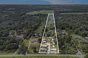 14638 Treeleaf Ln, Dade City, FL 33525 - Photo 3