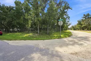 7059 Juniper Ave, Ridge Manor Estates, FL 33597 - Photo 29