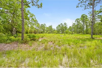 10052 Yellowbird Avenue, Weeki Wachee, FL 34614 - Photo 1