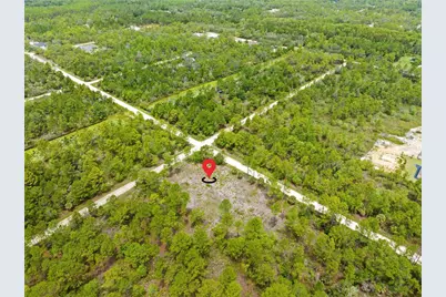 10052 Yellowbird Avenue, Weeki Wachee, FL 34614 - Photo 5