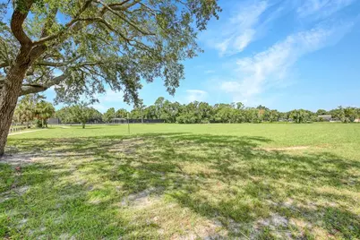 423 Van Reed Manor Drive, Brandon, FL 33511 - Photo 25