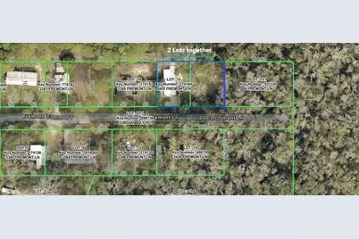 3405 Fremont Lane, Spring Hill, FL 34607 - Photo 3