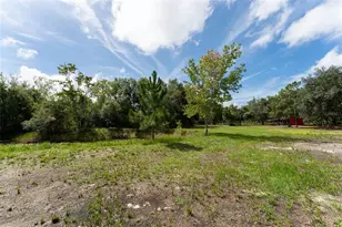 14150 Highland Rd, Parrish, FL 33598 - Photo 61