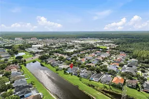 12018 Northumberland Dr, Tampa, FL 33626 - Photo 53