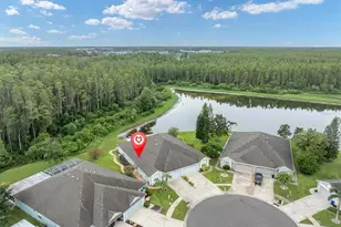 19320 Haskell Pl, Land O Lakes, FL 34638 - Photo 35