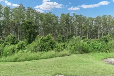 19320 Haskell Place, Land O Lakes, FL 34638 - Photo 41