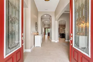 32697 Natural Bridge Rd, Wesley Chapel, FL 33543 - Photo 7