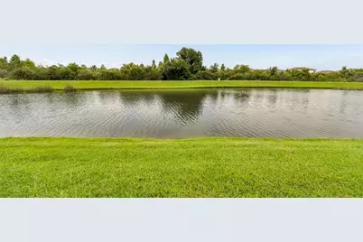 32697 Natural Bridge Road, Wesley Chapel, FL 33543 - Photo 53