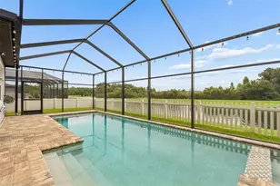32697 Natural Bridge Rd, Wesley Chapel, FL 33543 - Photo 49