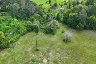 2452 Welcome Rd, Lithia, FL 33547 - Photo 31