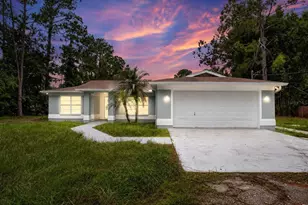 27526 Green Willow Run, Wesley Chapel, FL 33544 - Photo 1