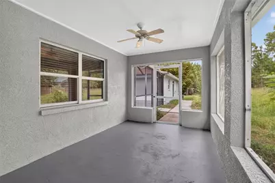 27526 Green Willow Run, Wesley Chapel, FL 33544 - Photo 47