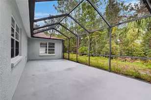 27526 Green Willow Run, Wesley Chapel, FL 33544 - Photo 53