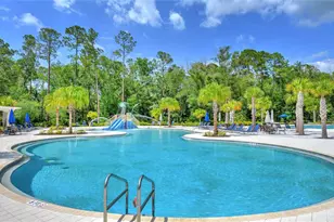 17616 Terrazzo Way, Land O Lakes, FL 34638 - Photo 53