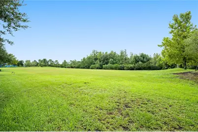 17616 Terrazzo Way, Land O Lakes, FL 34638 - Photo 35