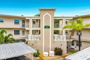 952 Virginia St, Dunedin, FL 34698 - Photo 21