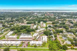 952 Virginia St, Dunedin, FL 34698 - Photo 33