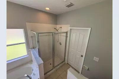 19131 Cypress Reach Lane, Tampa, FL 33647 - Photo 33
