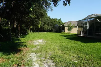 19131 Cypress Reach Lane, Tampa, FL 33647 - Photo 45