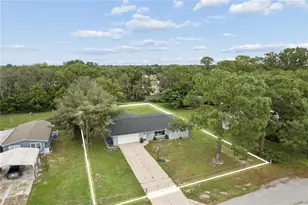 9733 Dick St, Hudson, FL 34669 - Photo 53